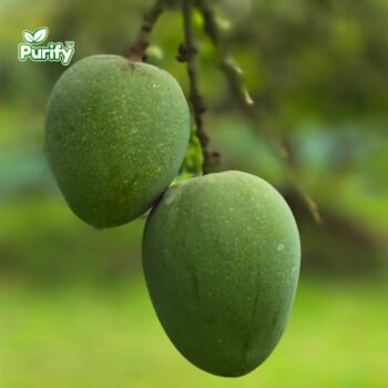 হিমসাগর আম (Himsagar Mango) 10KG
